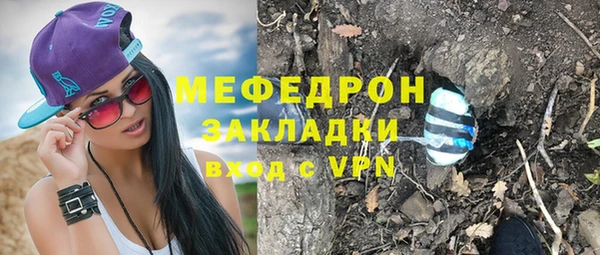 шишки Заводоуковск