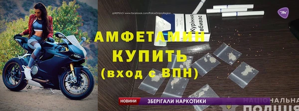 шишки Заводоуковск