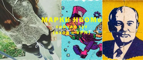 шишки Заводоуковск