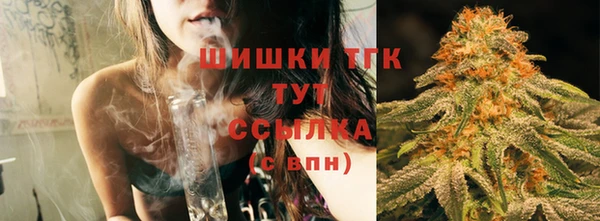 шишки Заводоуковск