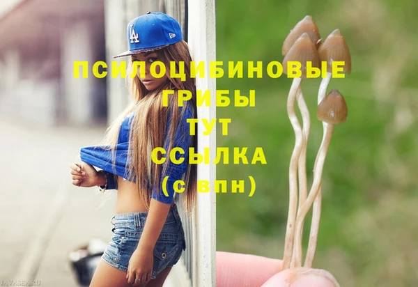 шишки Заводоуковск