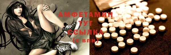 шишки Заводоуковск