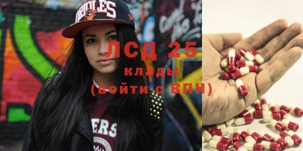 шишки Заводоуковск