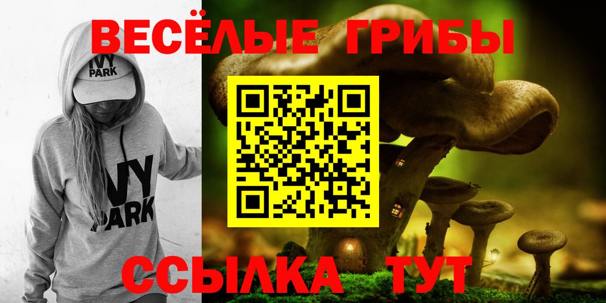 Избербаш  Псилоцибиновые грибы Psilocybine cubensis  Вход с VPN 