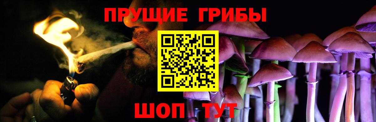 Псилоцибиновые грибы Magic Shrooms Избербаш